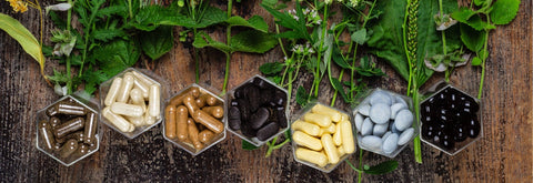 Top Immune Supplements