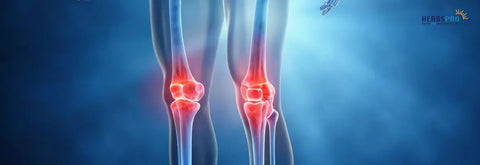Joint Supplements