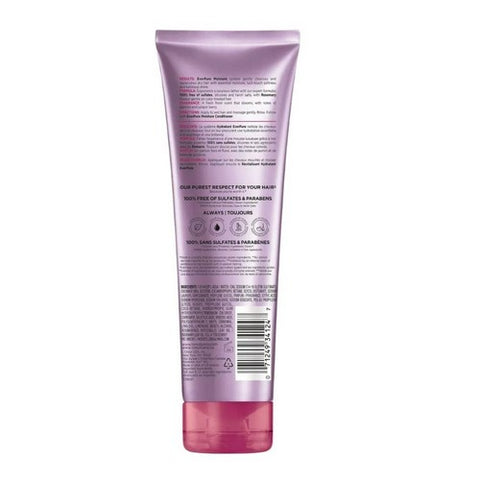 L'Oreal Frost & Design, L'Oreal Everpure Moisture Shampoo, 8.5 Oz