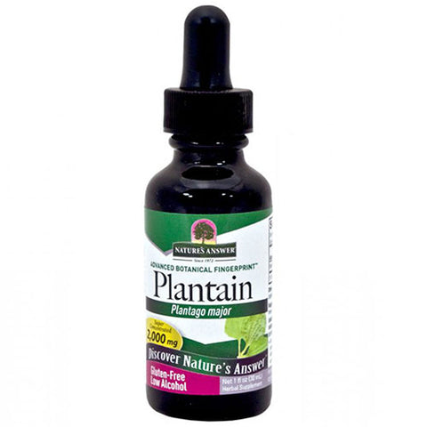 Nature's Answer, Plantain Leaf, 1 Oz