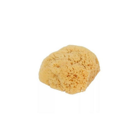 Bass Brushes, Body Care Natural Sea Sponge, 1 Count