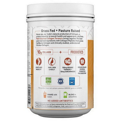 Garden of Life, Multi Source Collagen Turmeric Apple Cinnamon Powder, 7.76 Oz Garden of Life