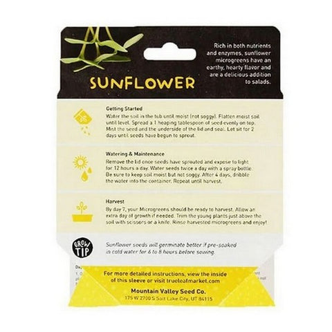 Handy Pantry, Sunflower Microgreen Kit, 1 Count