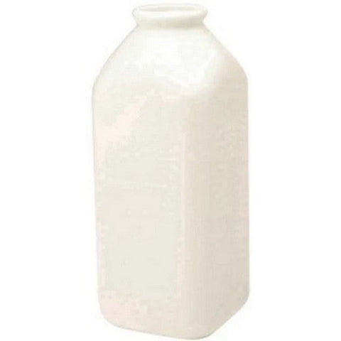 Little Giant Snap On Nursing Bottle 2 Count by Miller Manufacturing Co