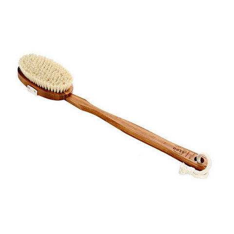 Oval Style Body Brush With Natural Bristles 1 Count by Bass Brushes