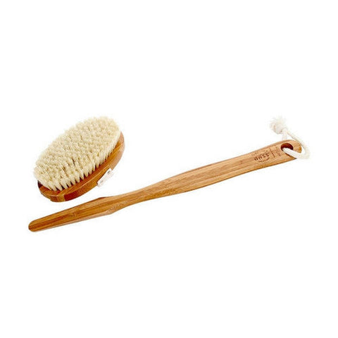 Bass Brushes, Oval Style Body Brush With Natural Bristles, 1 Count Bass Brushes
