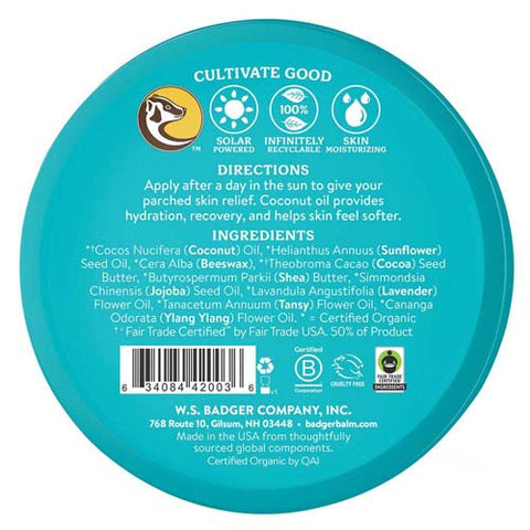 Badger Balm, Coconut After Sun Balm, 2 Oz