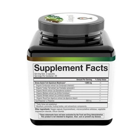 Youtheory, Mushroom Stress Complex, 60 Vegcaps