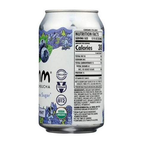 Humm Kombucha, Blueberry Mint Kombucha, 12 Oz (Case Of 6)