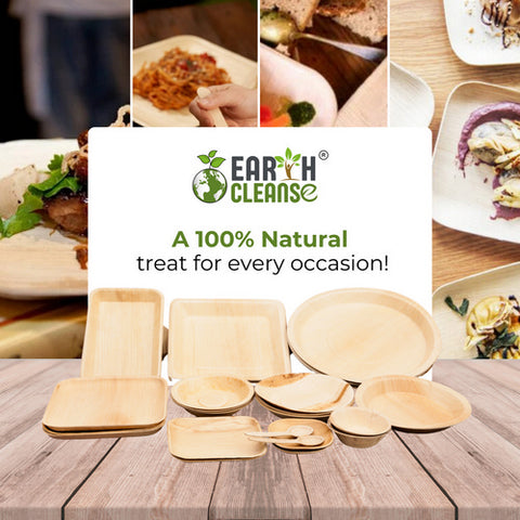 Earth Cleanse, Areca Palm Leaf Square Plates 10-Inch, Pack of 25