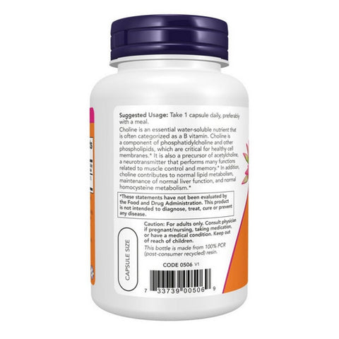 Now Foods, Choline, 300 mg, 100 Veg Capsules