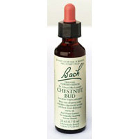 Bach, Flower Essence Chestnut Bud, 20 ML