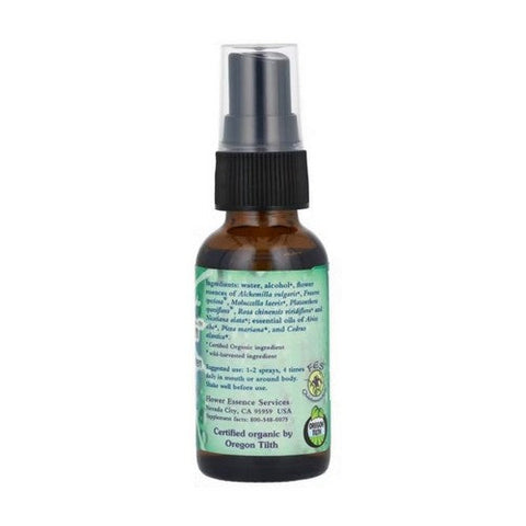 Flower Essence Services, Grounding Green Spray, 1 oz Flower Essence Services