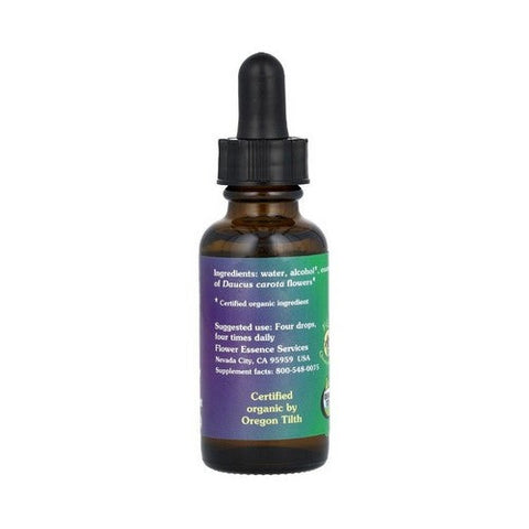 Flower Essence Services, Queen Annes Lace Dropper, 1 oz Flower Essence Services